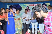 Danger Love Story Audio Launch